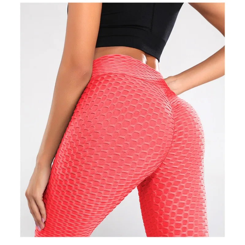Sport Fitness Leggings