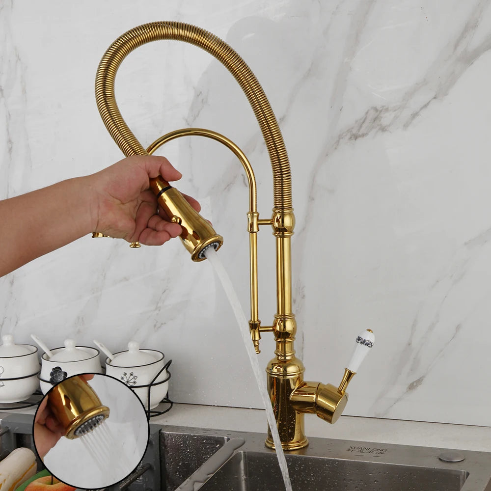 Golden Spring Pull Down Kitchen Sink Faucet