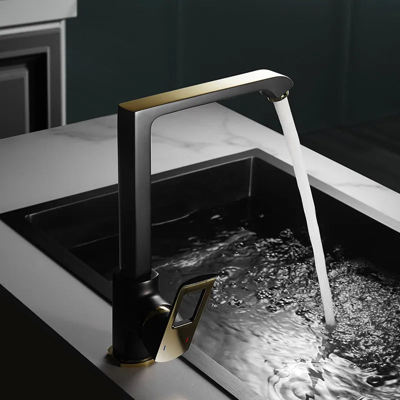 Elegant Kitchen Faucet