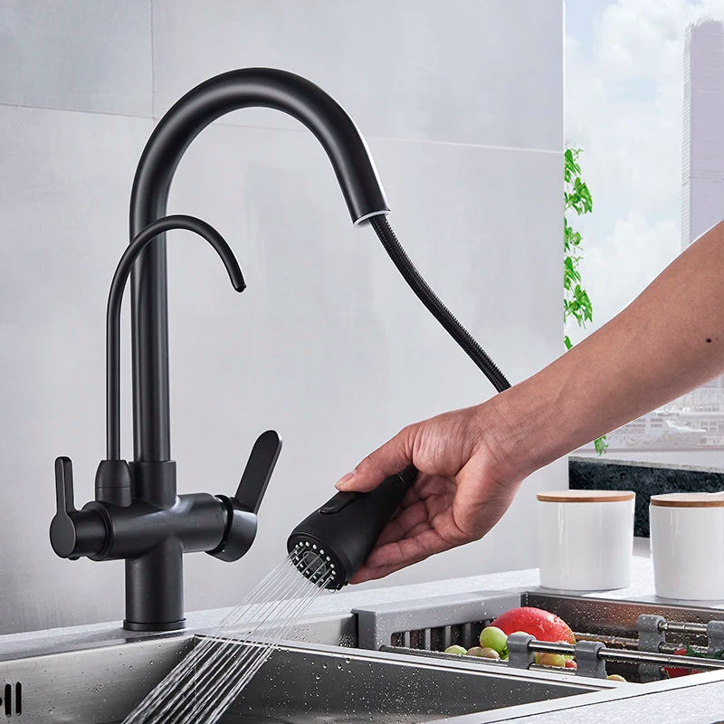 Filter Kitchen Faucet