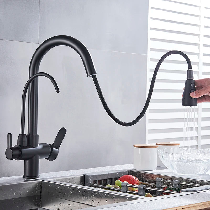 Filter Kitchen Faucet