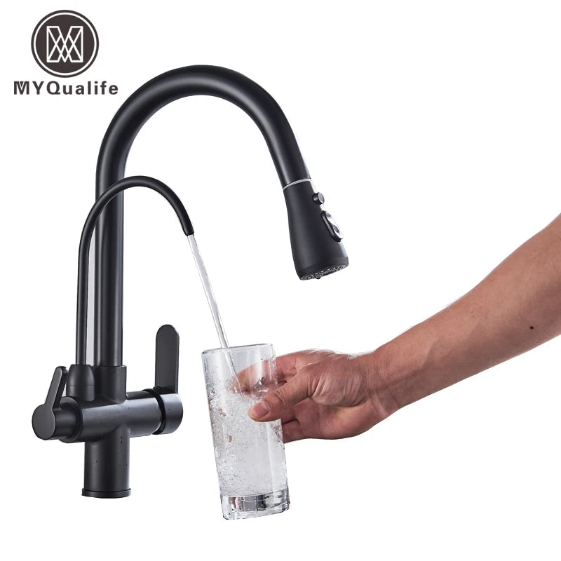 Filter Kitchen Faucet