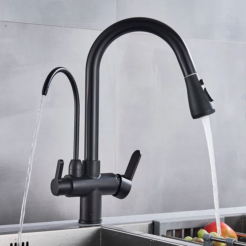 Filter Kitchen Faucet