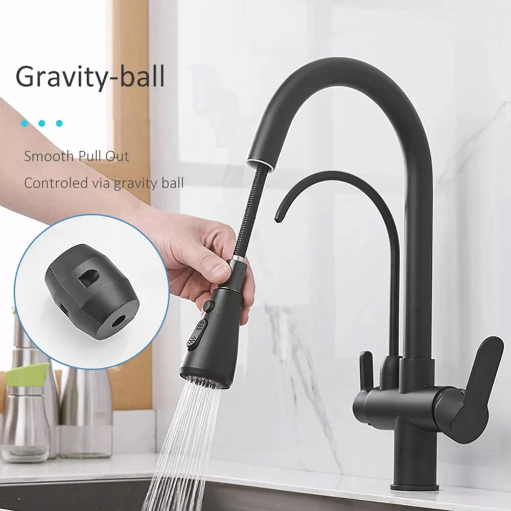 Filter Kitchen Faucet