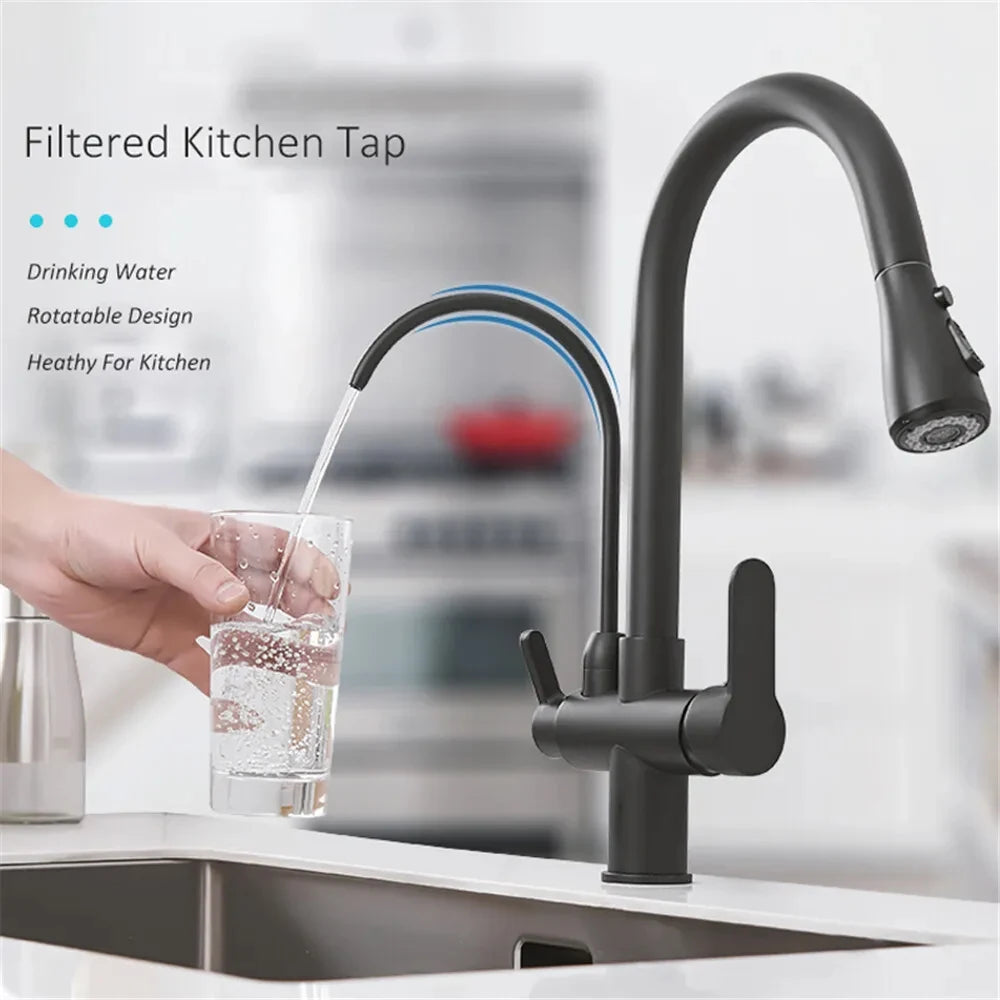 Filter Kitchen Faucet