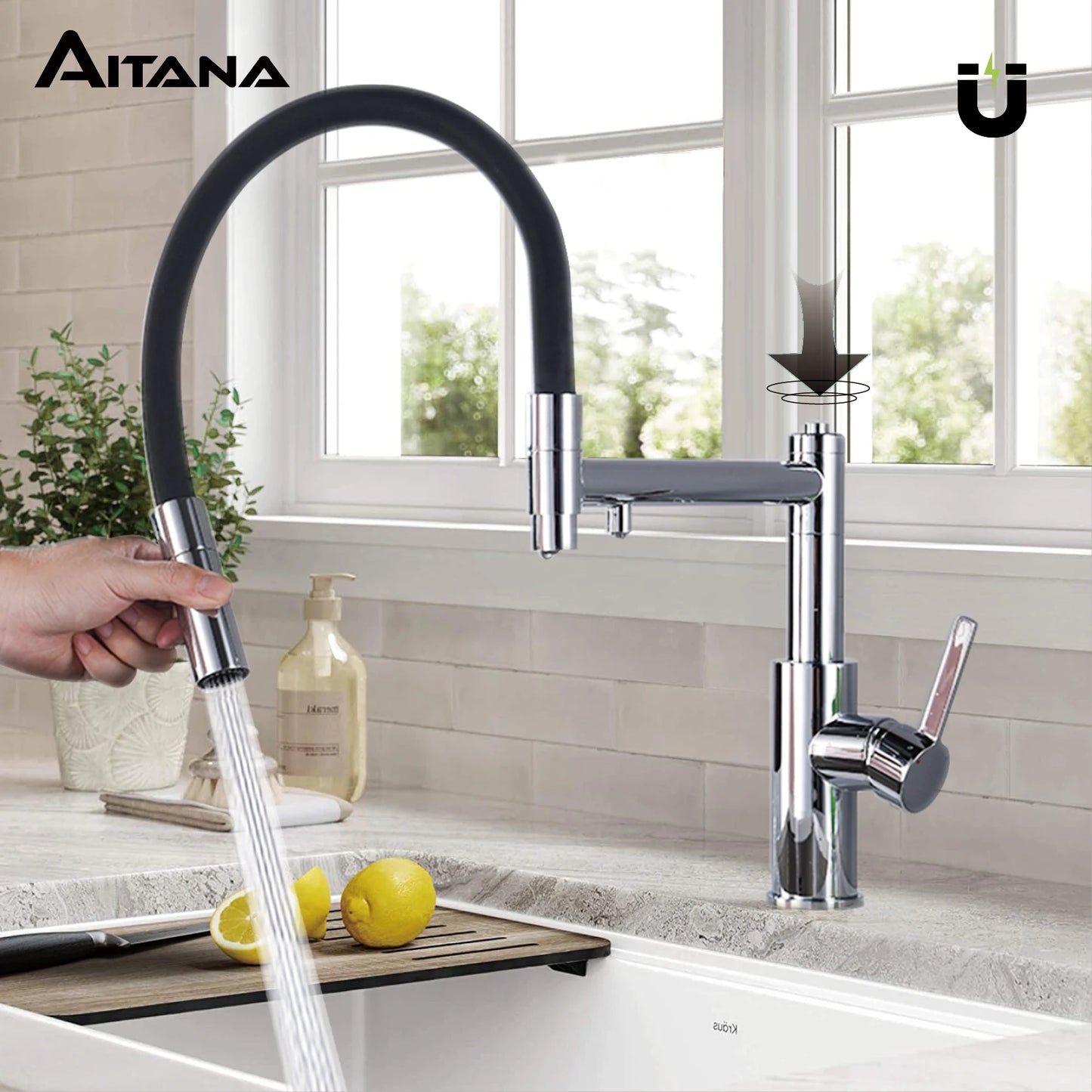 Pull Out Dual Control Faucet