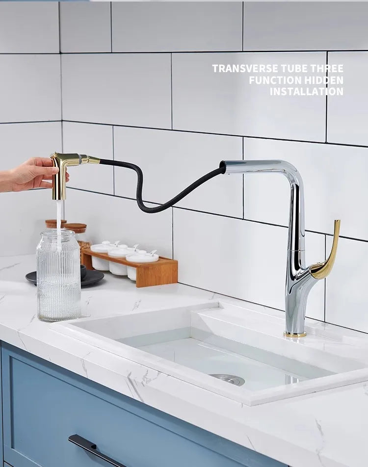 Pull Out Kitchen Faucet