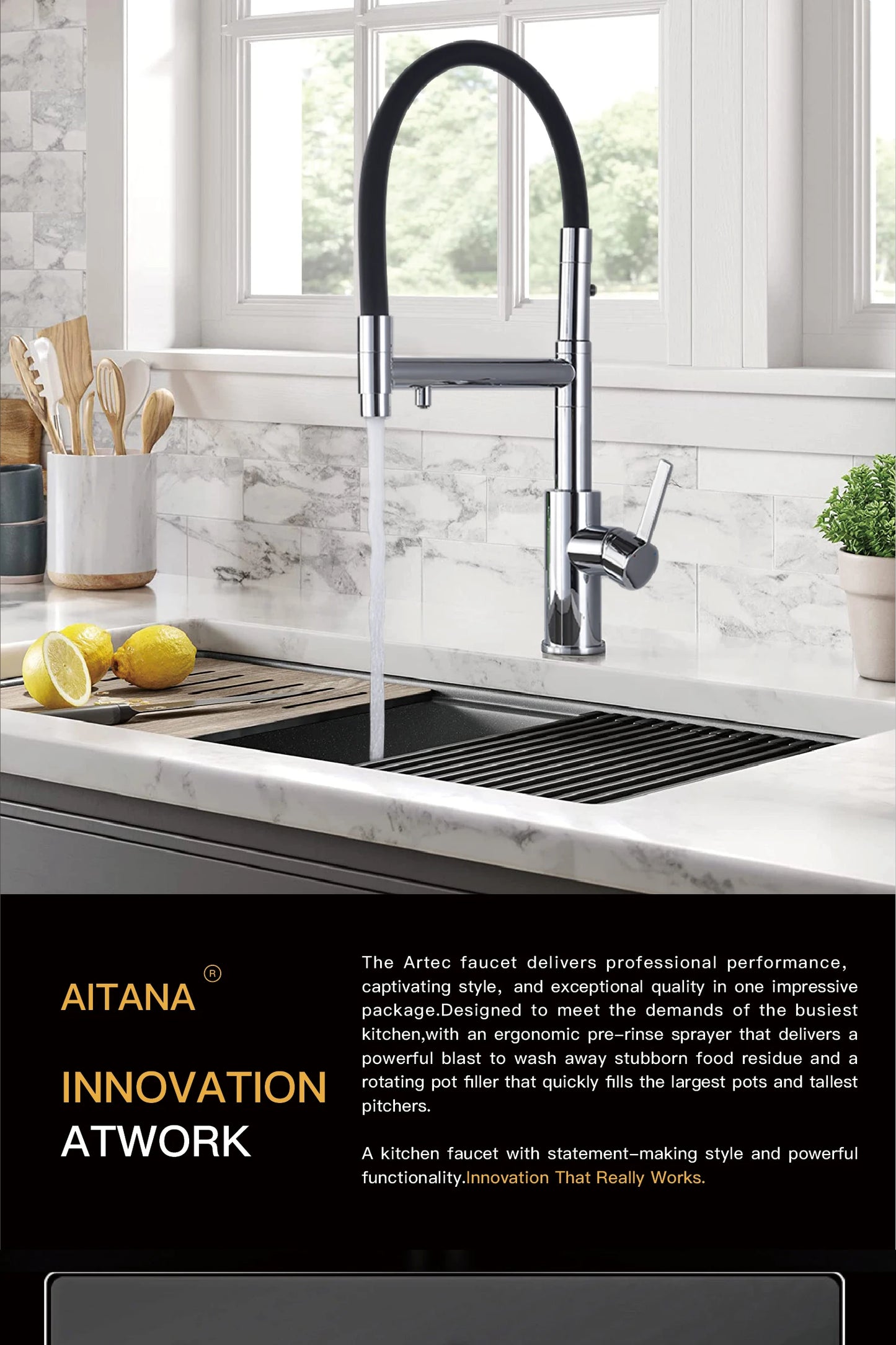 Pull Out Dual Control Faucet