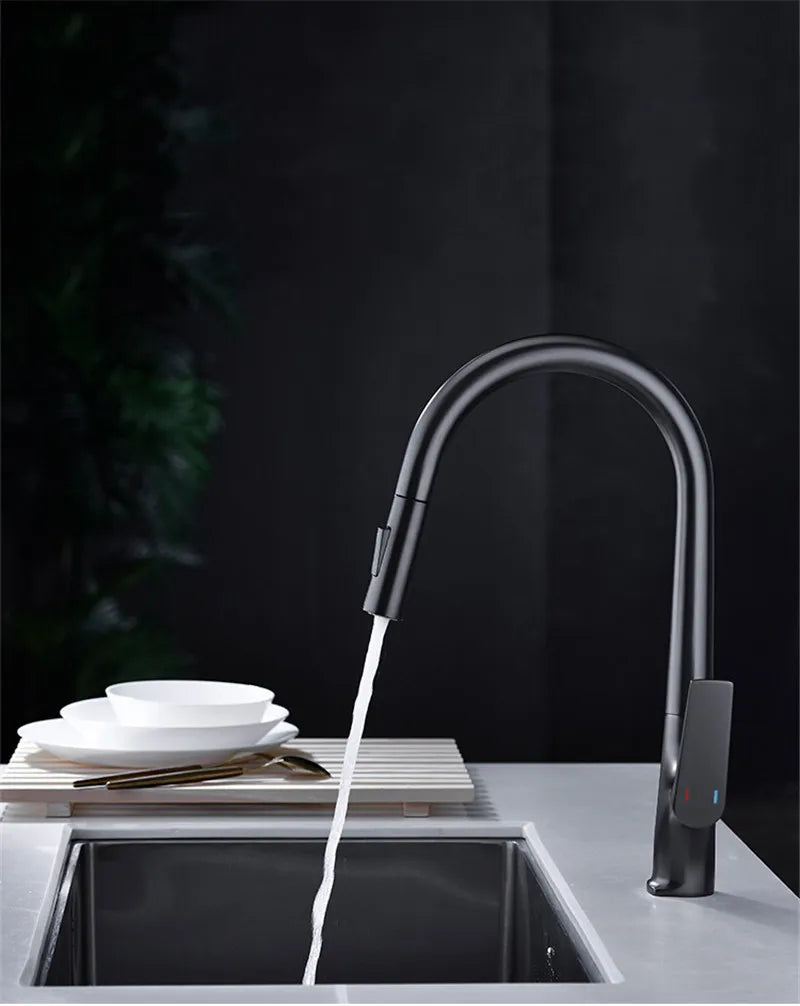 Modern Kitchen Sink Faucet